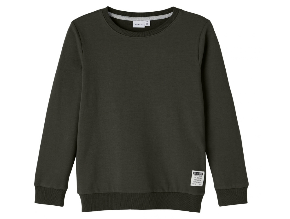 Name It Rosin Sweatshirt