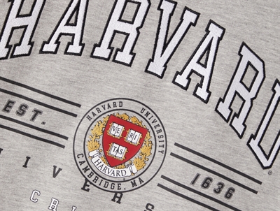 Name It sweatshirt grey melange harvard university