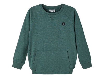 Name It sea moss sweatshirt