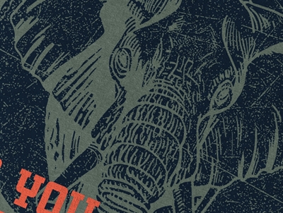 Name It t-shirt laurel wreath animal planet