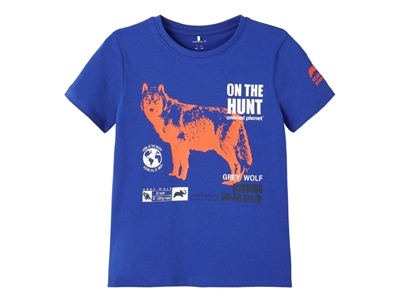 Name It t-shirt surf the web animal planet