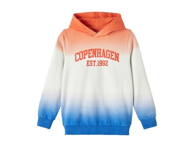 Name It hoodie tigerlily