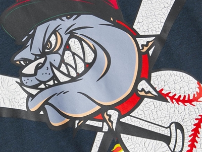 Name It t-shirt dark sapphire print