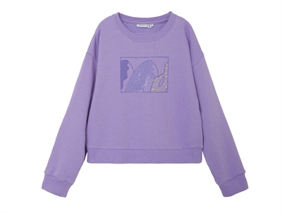 Name It sand verbena sweatshirt