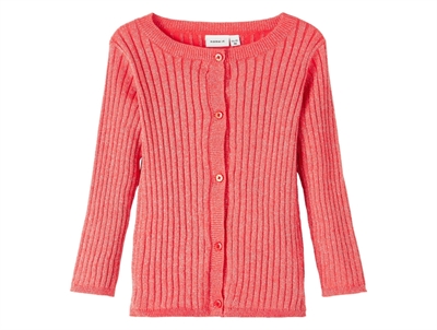 Name It hibiscus cardigan glitter