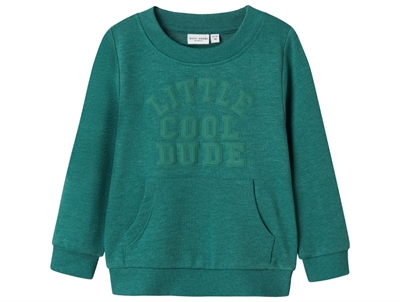 Name It antique green sweatshirt