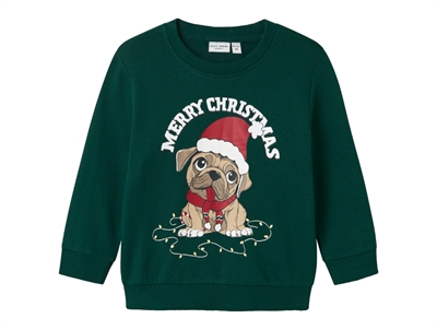 Name It botanical garden jul sweatshirt