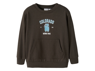 name it sweatshirt i brun nuance med colorado print