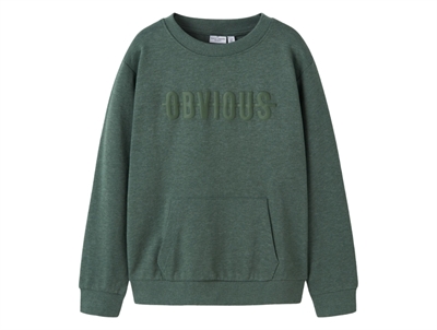 Name It sweatshirt i grøn nuance set forfra