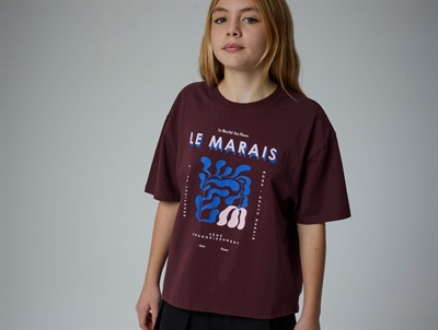 Pige iført Name It t-shirt sassafras med print