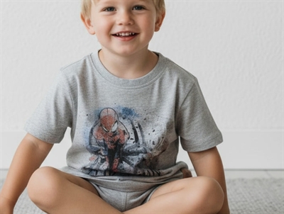 Wheat t-shirt Spiderman melange grey