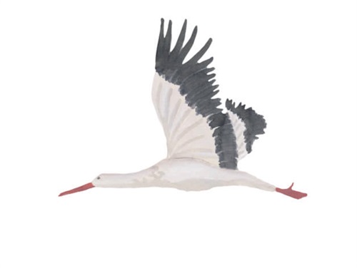 That's Mine White Stork Large Wallsticker