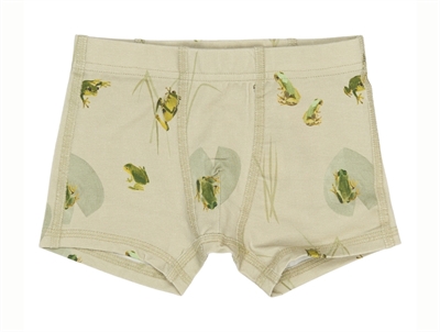 Petit Piao boxershorts i lysegrøn nuance med frøprint forfra