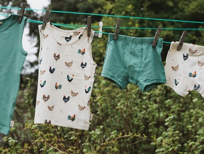 Petit Piao boxershorts råhvid med haner og  grønne på tørresnor